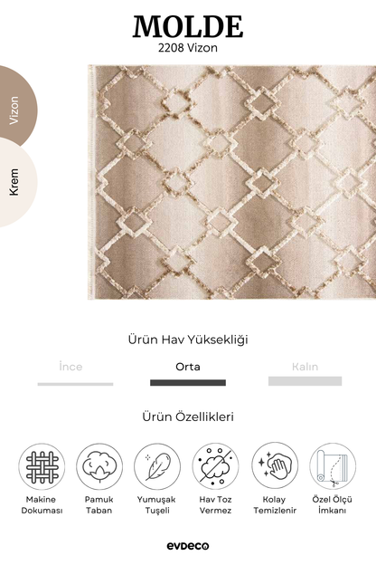Evdeco Molde 2208 Vizon Etnik Desenli Modern Salon Halısı
