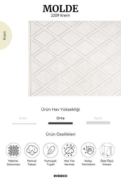 Evdeco Molde 2209 Krem Etnik Desenli Modern Salon Halısı